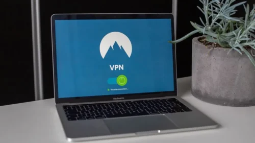 Laptop with VPN screen and a succulent plant on a desk, emphasizing online privacy and security.